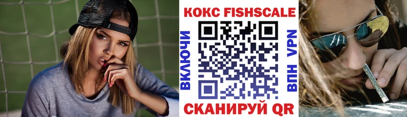 COCAIN Fish Scale  купить  цена  дарк нет состав  Кондопога 