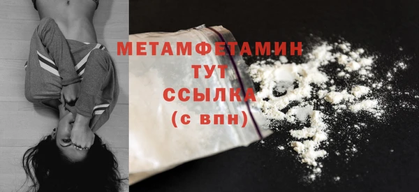 сатива Новозыбков