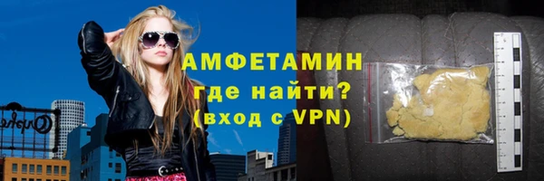 сатива Новозыбков