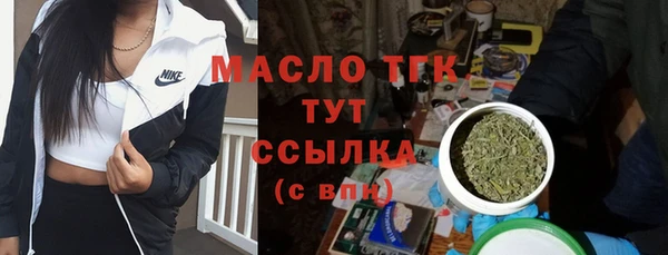 сатива Новозыбков