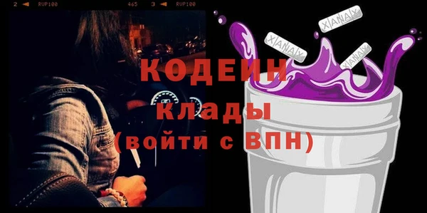 сатива Новозыбков