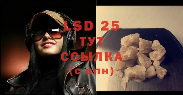 сатива Новозыбков