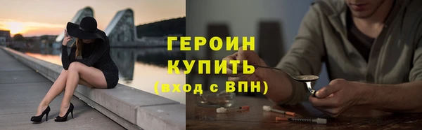 сатива Новозыбков