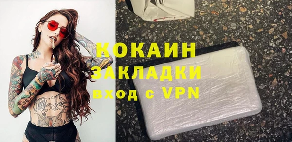 сатива Новозыбков
