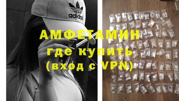 сатива Новозыбков