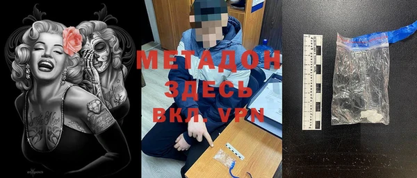 сатива Новозыбков