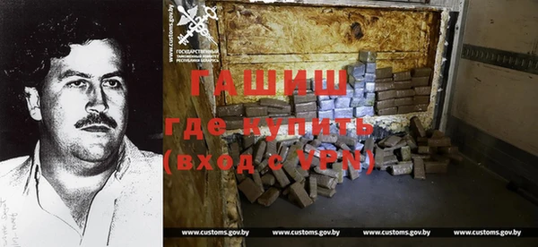 сатива Новозыбков