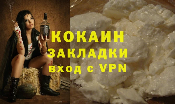 сатива Новозыбков