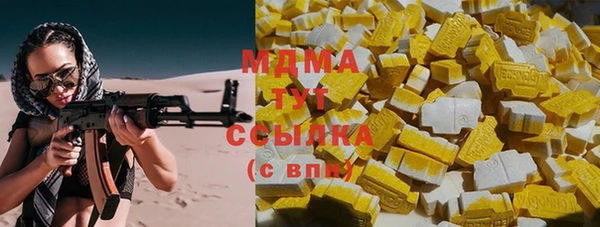 сатива Новозыбков