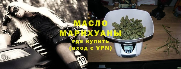 сатива Новозыбков