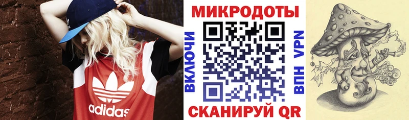 MEGA ссылки  наркотики  Кондопога  Галлюциногенные грибы ЛСД 
