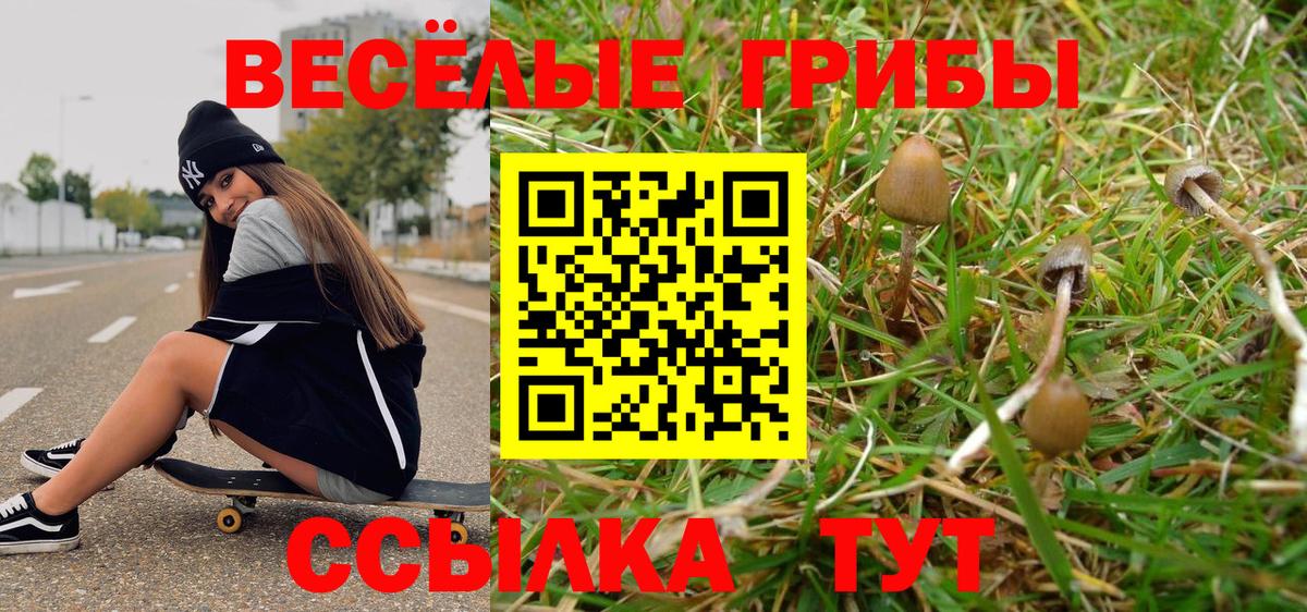 Псилоцибиновые грибы мухоморы Кондопога